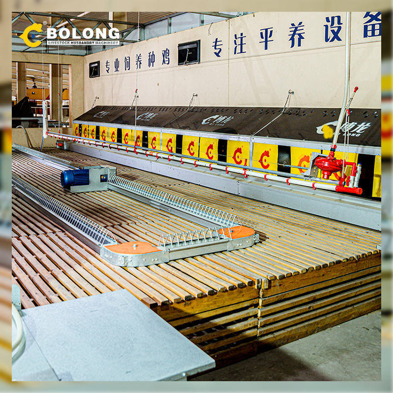 consistent quality Automatic Egg Collector